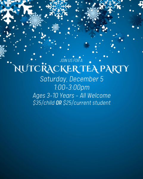 2026 christmas parties instagram post 4 5 480x600